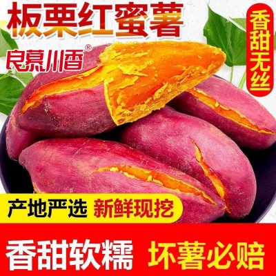 新鮮沙地蜜薯糖心紅薯板栗紅番薯黃心板栗薯甜糯軟糯香甜地瓜