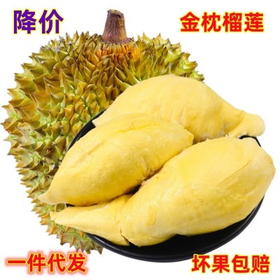 一件代發(fā) 越南金枕頭榴蓮當(dāng)季熱帶時(shí)令現(xiàn)摘水果越南金枕榴蓮
