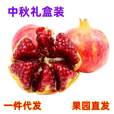 一件代發(fā) 四川會(huì)理突尼斯軟籽石榴現(xiàn)摘現(xiàn)發(fā)水果突尼斯軟籽石榴5斤