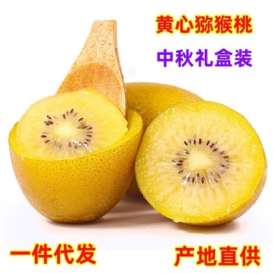 現(xiàn)貨 一件代發(fā) 四川蒲江黃心獼猴桃奇異果當(dāng)季時令新鮮現(xiàn)摘水果