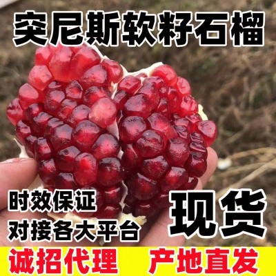 【正宗】四川會理軟籽石榴突尼斯軟籽石榴紅心甜石榴大果新鮮水果