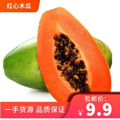 紅心木瓜3/5/9斤當季新鮮新鮮熱帶水果現摘木瓜一件代發