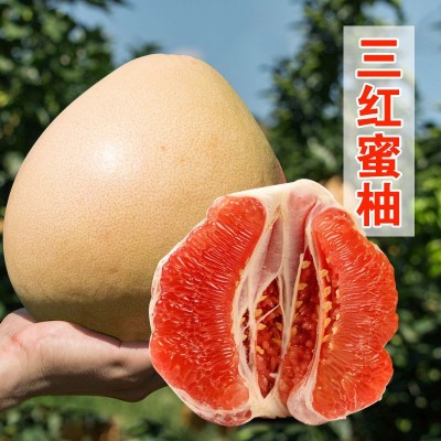 三紅柚子紅肉新鮮水果福建平和琯溪蜜柚孕婦水果紅心紅柚中秋送禮