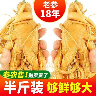 【18年新鮮大人參半斤裝】野山參長(zhǎng)白山新鮮人參林下鮮試吃50g
