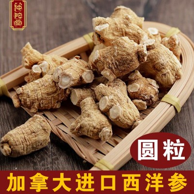 仲陀堂加拿大西洋參圓粒軟枝花旗參粒頭可切片批發產地西洋參段