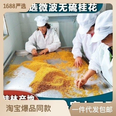 【源頭工廠】桂花干花微波脫水500g新鮮食用烘焙桂林金桂 花茶批發