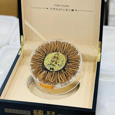 西藏那曲冬蟲夏草 批發全規格冬蟲夏草禮盒 足干無斷草 產地直供