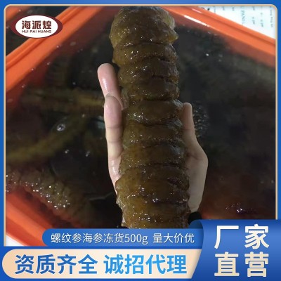 廠家供應 凍干海參 南美洲速凍水發(fā)螺紋參龍紋參 大烏參批發(fā)