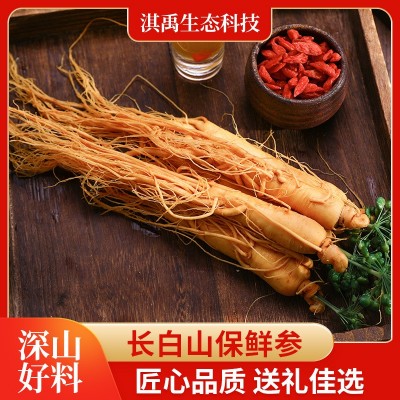 長白山保鮮參東北特產(chǎn)人參泡酒煲湯廠家批發(fā)代發(fā)規(guī)格齊全保鮮人參
