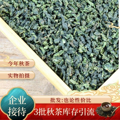 2023年秋季新茶安溪鐵觀音正味烏龍茶高山茶園正季秋茶安溪鐵觀音