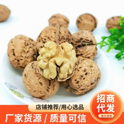 云南103紙皮生核桃批發手剝薄皮核桃堅果一件代發