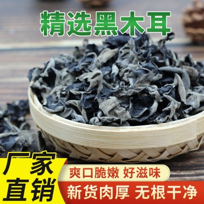 廠家批發 500g散裝東北黑木耳干貨袋裝大木耳炒菜火鍋餐飲專用