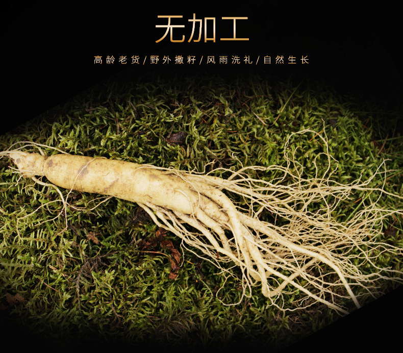 鮮人參詳情頁_05.jpg