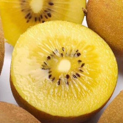 彌猴桃四川蒲江黃心獼猴桃新鮮水果當季整箱大果狝應季奇異果代發
