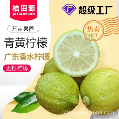 新鮮香水檸檬5斤包郵二級果無籽四季奶茶店專用薄皮厚皮青黃檸檬