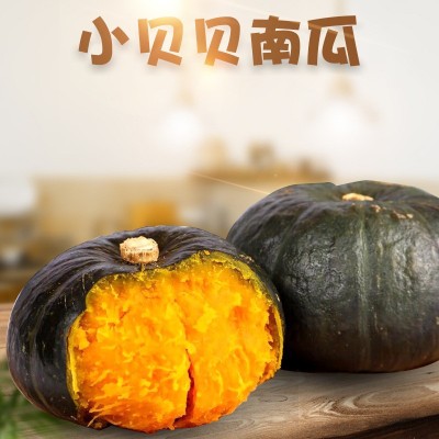 山東貝貝小南瓜代發5斤禮盒粉糯寶寶輔食板栗味吊瓜應季新鮮蔬菜
