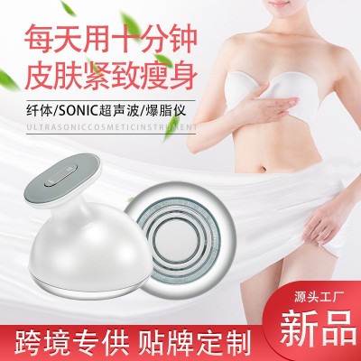 工廠直銷小鯨魚爆脂儀 微電流RF射頻美體儀 家用纖體減肥美容儀器