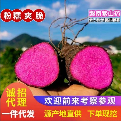 江西贛南紫山藥新鮮蔬菜腳板薯紫薯現(xiàn)挖紫玉淮山鐵棍山藥整箱批發(fā)