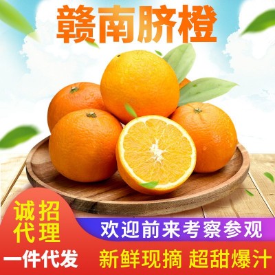 【產地直發】贛南臍橙臍橙新鮮水果現摘10斤甜橙贛州橙子批發