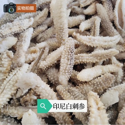 野生即食海參15-25頭500g非大連海參印尼小白刺參印尼即食海參