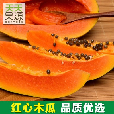 產地貨源 廣東雷州紅心木瓜8斤整箱冰糖心水果木瓜 新鮮當季批發