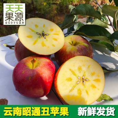 產地貨源 云南昭通蘋果5斤裝冰糖心丑蘋果紅富士花牛批發一件代發