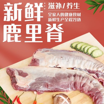 瑞宏鹿場批發新鮮梅花鹿里脊肉 鹿肉 帶皮鹿肉一件代發招代理