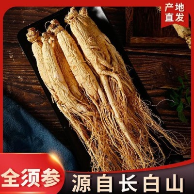 長白山野山參白參人參禮盒批發(fā)產(chǎn)地銷售山參禮盒