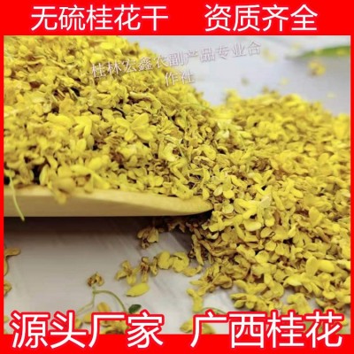 廠家批發 新貨花草茶 桂林金桂花茶 桂花茶 脫水桂花干