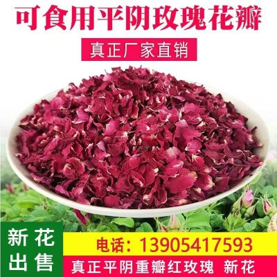 [玫瑰花瓣] 廠家批發食用玫瑰小碎片干花瓣平陰重瓣玫瑰點心餡料