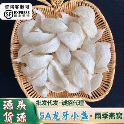 印尼馬來西亞燕窩批發雨季干挑大燕窩盞孕婦金絲燕窩鮮燉燕窩原料