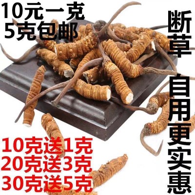 2022年正品斷蟲草整根冬蟲草禮盒裝送禮非西藏那曲冬蟲夏草批發