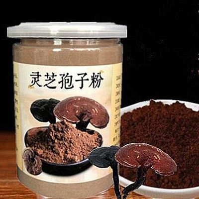 靈芝提取物破壁靈芝孢子粉源頭廠家 OEM貼牌代加工 出貨快