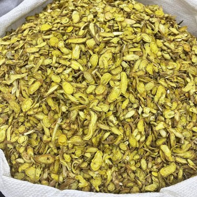 黃芩 中藥材批發供應 黃芩 實物拍攝