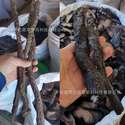 產地貨源 肉蓯蓉藥材批發 阿拉善肉蓯蓉整根 中藥材銷售 品種齊全