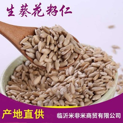 生葵花籽仁無殼生瓜子仁榨油糕點月餅果仁原料批發25kg油葵仁