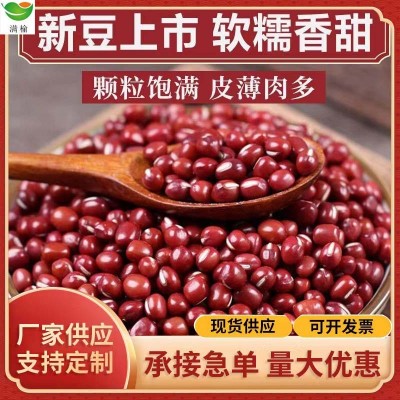 東北紅小豆廠家批發(fā)大赤豆五谷雜糧原料現(xiàn)貨紅小豆一件代發(fā) 紅豆