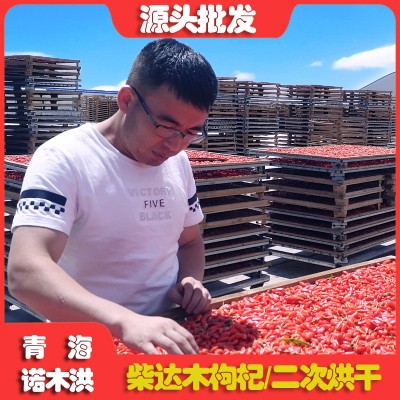 紅枸杞青海柴達木非寧夏枸杞子大果500g散裝諾木洪枸杞一件代發