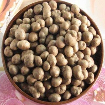 山藥豆大量批發山藥蛋50斤