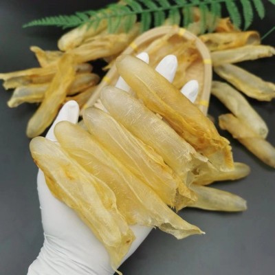 100頭北海黃花膠干貨滋補正品魚膠魚鰾大量供應鮮燉實體店供應批