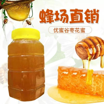 農(nóng)家自產(chǎn)大棗花蜜花蜜低溫洞藏蜜棗花蜂蜜純蜂蜜現(xiàn)貨批發(fā)源頭工廠