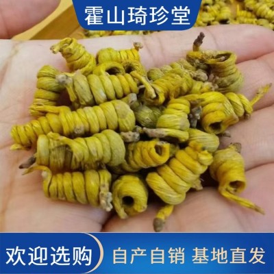 霍 山米斛楓斗 米 斛廠家 龍頭鳳尾 原產地發貨基地直供 營養豐富