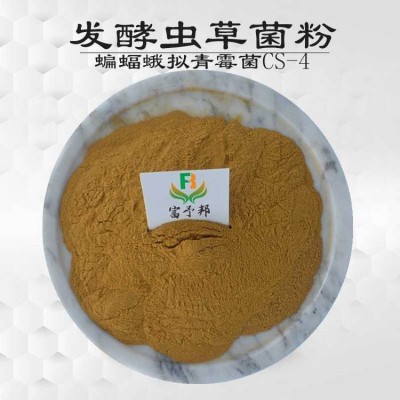 富予邦生物 發(fā)酵蟲草菌粉 cs-4 冬蟲夏草提取 蝙蝠蛾擬青霉菌粉 清香味