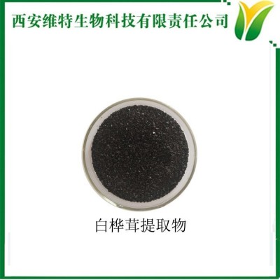 白樺茸提取物 樺褐孔菌萃取粉 黑晶顆粒 多糖50% 現貨銷售