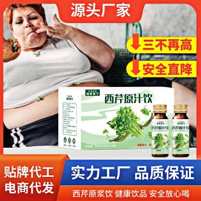 寧夏西芹原漿鮮榨無糖芹菜汁飲品西吉芹菜純汁濃縮果蔬汁批發代發