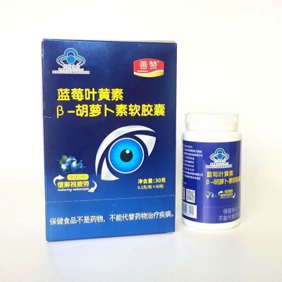 鴻洋神牌藍(lán)莓葉黃素B-胡蘿卜素軟膠囊正品藍(lán)帽